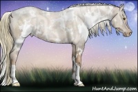 Horse Color:White Spotted Liver Chestnut Ice Pearl 