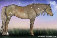 Horse Color:White Spotted Chocolate Palomino Sabino