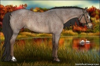 Horse Color:Liver Red Roan Sabino Rabicano