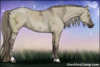 Horse Color:Liver Red Dun Ice Sabino 