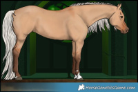 Horse Color:Silver Bay Dun 