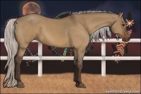 Horse Color:Silver Bay Dun 