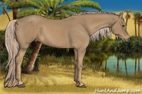 Horse Color:Palomino