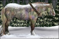 Horse Color:Nacre Plaid  Liver Red Dun Ice Sabino 