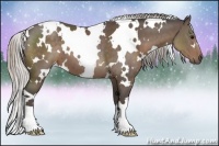 Horse Color:White Spotted Silver Black 