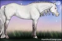 Horse Color:White Spotted Chocolate Silver Grullo Chinchilla Pearl 