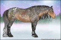 Horse Color:Buckskin Sabino Snowflake Varnish