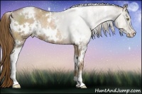 Horse Color:White Spotted Liver Chestnut Ice Pearl Sabino Rabicano