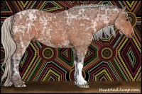 Horse Color:Silver Bay Ice 