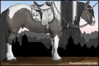 Horse Color:Grullo Splash Tobiano