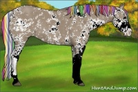 Horse Color:Painted Silver Grullo Sabino 