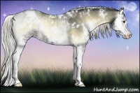 Horse Color:White Spotted Chocolate Palomino Ice Onyx Splash Rabicano