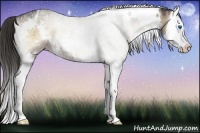 Horse Color:White Spotted Liver Red Dun Ice Onyx Splash Rabicano
