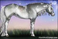 Horse Color:White Spotted Silver Blue Onyx Chinchilla Brindle 