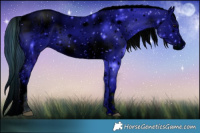 Horse Color:ERROR: UNKNOWN ANOMALY