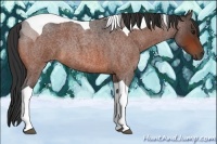 Horse Color:Bay Roan Tobiano