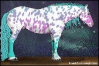 Horse Color:Watercolor White Spotted Buckskin Roan Appaloosa Rabicano 