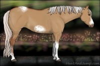 Horse Color:Silver Bay Dun Sabino Tobiano Frame Rabicano