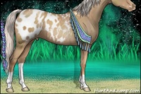 Horse Color:Silver Classic Champagne Appaloosa 