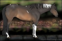 Horse Color:Buckskin Tobiano