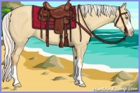 Horse Color:Silver Classic Cream Champagne Dun 