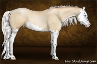 Horse Color:Silver Classic Champagne Pearl Sabino Splash