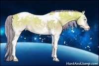 Horse Color:Painted Cremello Onyx Tobiano 