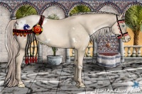 Horse Color:White Spotted Chocolate Palomino Pearl
