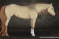 Horse Color:Liver Red Dun 