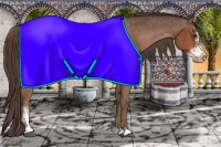 Horse Color:Liver Chestnut Sabino Frame Appaloosa
