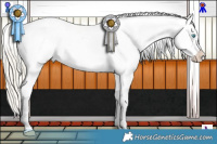Horse Color:Chocolate Palomino Pearl Dun Appaloosa  and Chocolate Palomino Pearl Appaloosa 