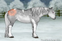 Horse Color:White Spotted Silver Brown Chinchilla Dun Tobiano 