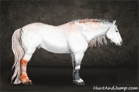 Horse Color:White Spotted Silver Brown Chinchilla Ice Dun 
