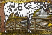 Horse Color:Liver Red Roan Near Leopard 