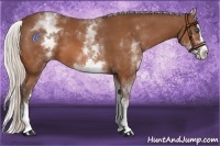 Horse Color:White Spotted Silver Bay Splash 