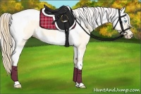 Horse Color:Perlino Dun and Perlino Dun