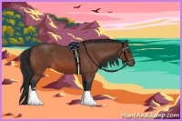 Horse Color:Bay Roan Sabino