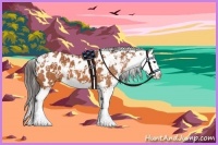 Horse Color:Bay Sabino Splash Appaloosa 