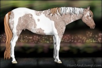 Horse Color:Red Ice Roan Tobiano 