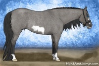 Horse Color:Grullo Roan Frame Rabicano