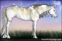 Horse Color:White Spotted Chocolate Palomino Onyx Splash Rabicano 