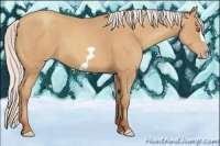 Horse Color:Silver Amber Champagne Frame 