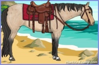Horse Color:Buckskin Roan 