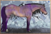 Horse Color:Buckskin Roan Sabino