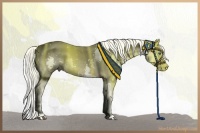 Horse Color:White Spotted Liver Chestnut Splash 