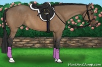 Horse Color:Brown Dun