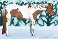 Horse Color:Red Roan Tobiano 