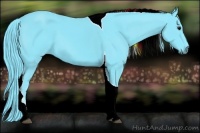 Horse Color:Watercolor Black Tobiano 
