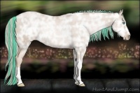 Horse Color:Painted Chocolate Palomino Ice Pearl Rabicano 