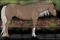 Horse Color:Silver Smoky Black 